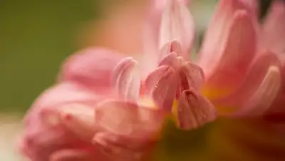 Zakon.kz, фото - Новости Zakon.kz от 19.10.2015 02:23