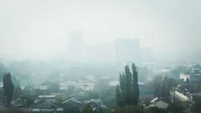 Зафиксировали высокий уровень загрязнения воздуха