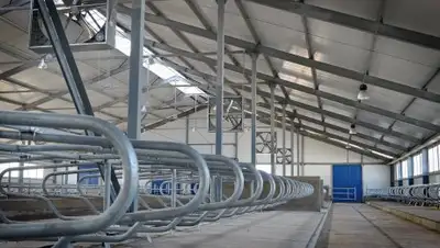 Zakon.kz, фото - Новости Zakon.kz от 02.11.2017 09:30