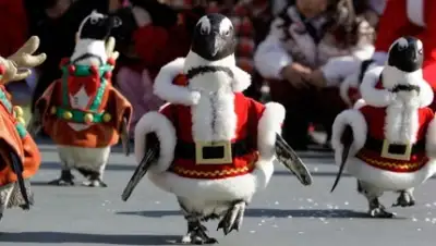 Zakon.kz, фото - Новости Zakon.kz от 30.12.2014 19:38