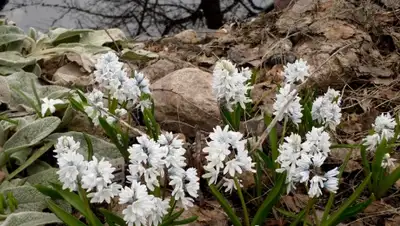 Zakon.kz, фото - Новости Zakon.kz от 06.04.2015 15:05