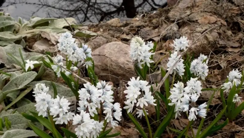 Осадки прогнозируют синоптики в понедельник в нескольких регионах страны
