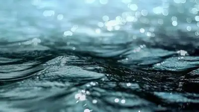 pixabay.com, фото - Новости Zakon.kz от 05.10.2021 13:55