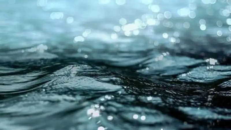 Пытался избавиться от тела - пропавшего мужчину нашли мертвым в Костанае