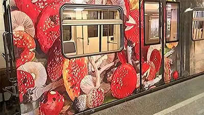 Zakon.kz, фото - Новости Zakon.kz от 24.04.2014 23:26