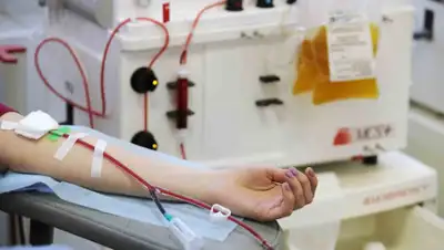 googleusercontent.com, фото - Новости Zakon.kz от 15.07.2020 10:50