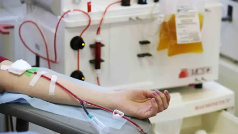 Переболевших COVID-19 призывают сдавать иммунную плазму для тяжелобольных