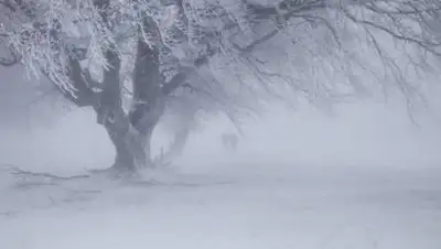 pixabay.com, фото - Новости Zakon.kz от 22.12.2020 16:57