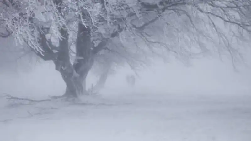 Сильная метель ожидается в Казахстане