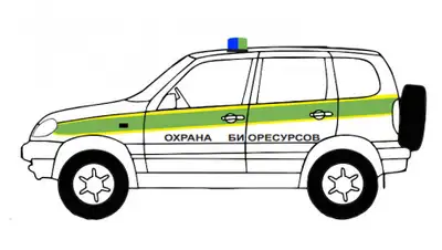 МВД РК, фото - Новости Zakon.kz от 06.11.2019 13:17