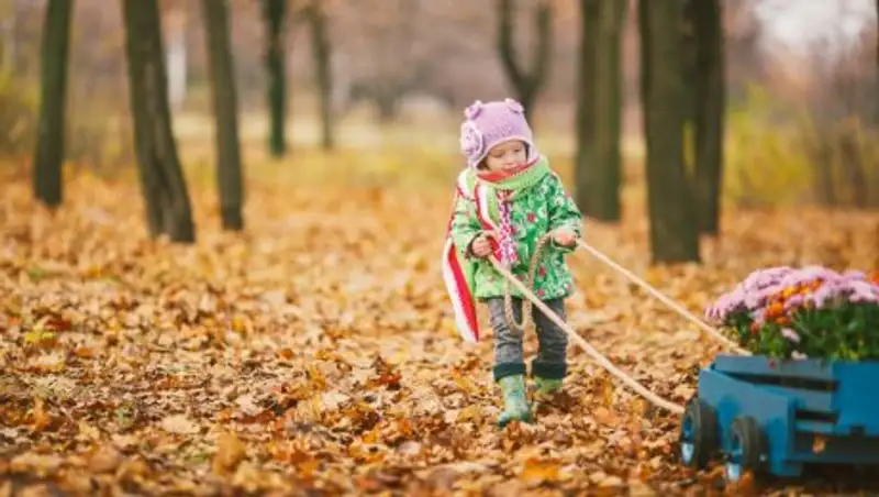 Чем порадуют казахстанцев последние дни ноября