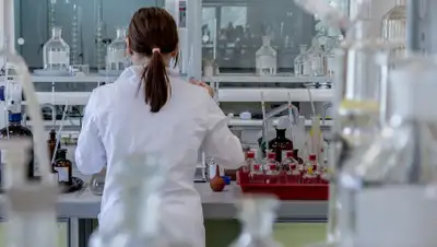 Pixabay, фото - Новости Zakon.kz от 23.04.2020 19:22