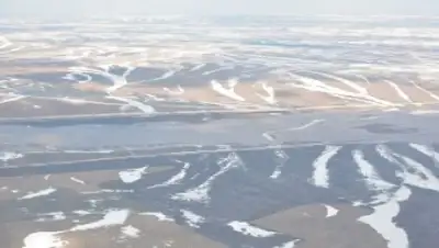 Zakon.kz, фото - Новости Zakon.kz от 18.04.2017 20:07