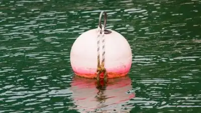 Zakon.kz, фото - Новости Zakon.kz от 03.03.2017 17:01