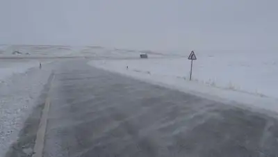 Zakon.kz, фото - Новости Zakon.kz от 08.03.2016 23:24