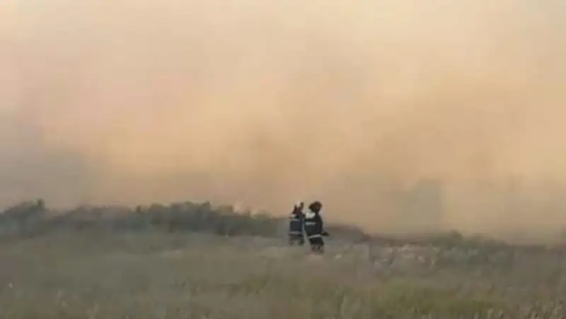 Пожар на дачах Темиртау: установлена причина