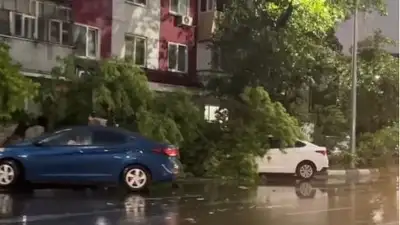Петропавловск, фото - Новости Zakon.kz от 08.06.2023 01:22
