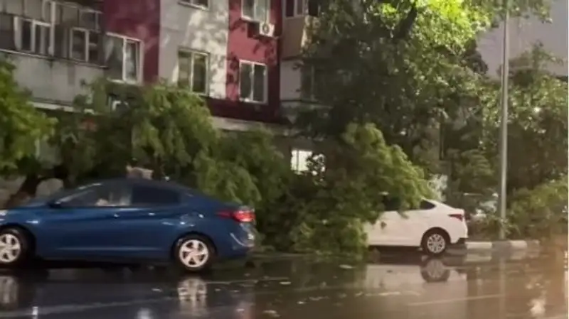 На Петропавловск обрушились ураган и ливень
