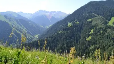 Zakon.kz, фото - Новости Zakon.kz от 24.07.2015 18:19