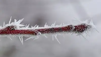 Синоптики предупредили казахстанцев о морозной погоде в субботу, фото - Новости Zakon.kz от 09.12.2022 15:31