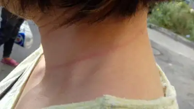 николаев.сити.укр, фото - Новости Zakon.kz от 23.07.2019 18:14