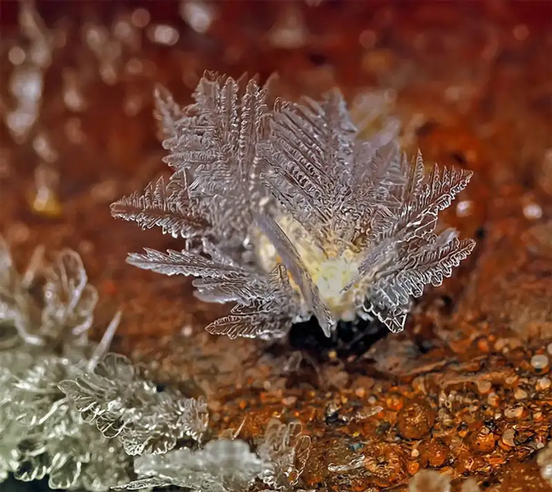 Снежинки. Фотограф Андрей Осокин Снежинки. Фотограф Андрей Осокин, фото - Новости Zakon.kz от 21.11.2013 00:00