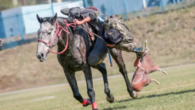 Штраф и арест получили сельчане за проведение кокпара и кудалыка