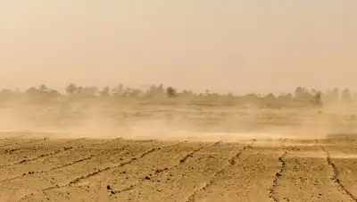 Pixabay, фото - Новости Zakon.kz от 12.07.2020 16:07