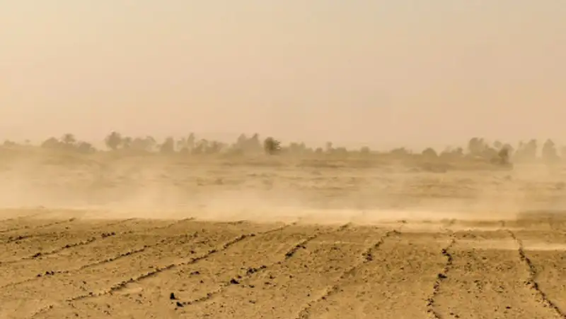 Пыльная буря ожидается в трех регионах Казахстана