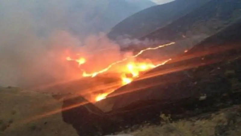 В заповеднике Жамбылской области тушат крупный пожар