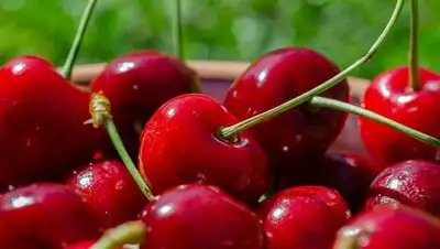 pixabay.com, фото - Новости Zakon.kz от 17.06.2021 09:47