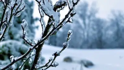 Zakon.kz, фото - Новости Zakon.kz от 04.01.2017 11:54