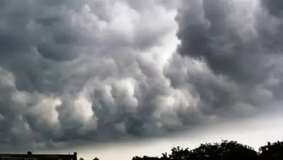 pxhere.com, фото - Новости Zakon.kz от 14.10.2019 09:07