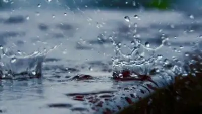 соцсети, фото - Новости Zakon.kz от 09.11.2018 09:30