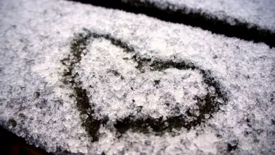 pexels.com, фото - Новости Zakon.kz от 15.05.2019 10:49