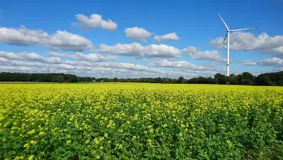 pxhere.com, фото - Новости Zakon.kz от 02.09.2019 12:15