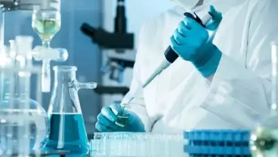 pixnio.com, фото - Новости Zakon.kz от 21.04.2021 14:25