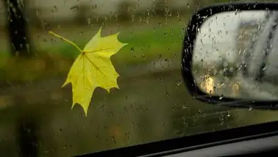 Zakon.kz, фото - Новости Zakon.kz от 07.09.2016 04:31