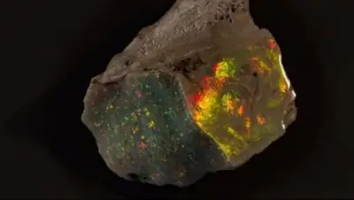 Zakon.kz, фото - Новости Zakon.kz от 24.01.2017 01:38