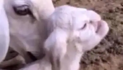 Zakon.kz, фото - Новости Zakon.kz от 30.03.2015 14:54