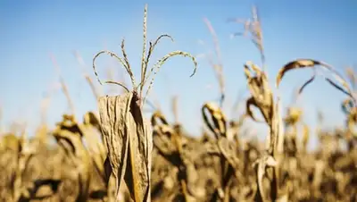 Zakon.kz, фото - Новости Zakon.kz от 17.06.2015 15:43