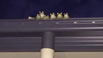 adme.ru, фото - Новости Zakon.kz от 03.01.2020 21:20