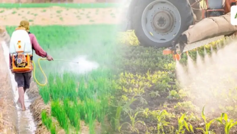 Минсельхоз отозвал госрегистрацию китайского пестицида