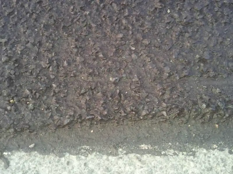 В Казахстане пробуют делать дороги по технологии «микросюрфейсинг» (фото) В Казахстане пробуют делать дороги по технологии «микросюрфейсинг» (фото), фото - Новости Zakon.kz от 23.10.2013 01:11