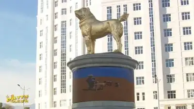 Кадр из видео, фото - Новости Zakon.kz от 12.11.2020 19:30