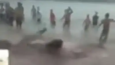 Комсомольская правда, фото - Новости Zakon.kz от 30.07.2018 01:56