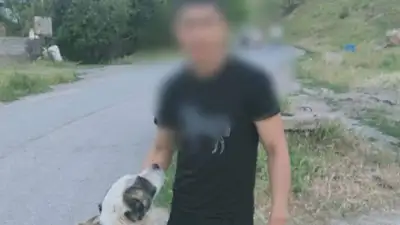 В Шымкенте водитель привязал собаку к машине и заставил бежать за ней, фото - Новости Zakon.kz от 23.05.2023 09:45