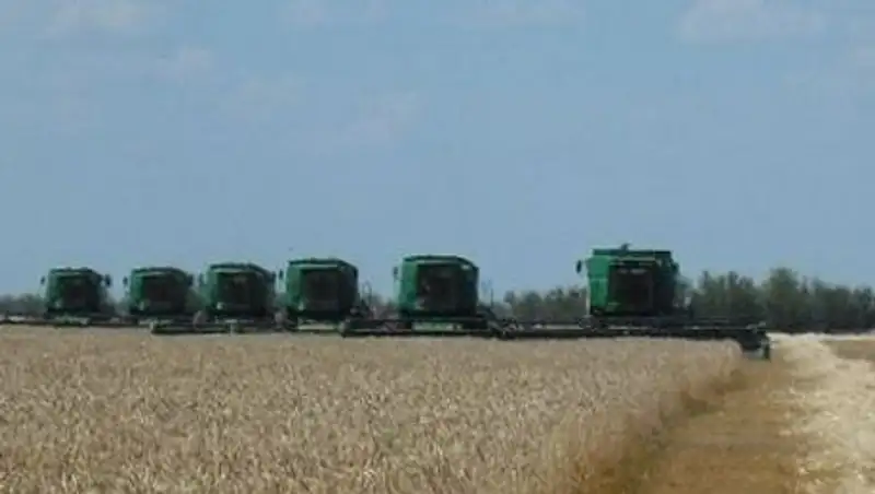 В ЗКО из-за засухи списано 20 тыс га, засеянных зерном