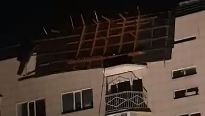 кадр из видео, фото - Новости Zakon.kz от 07.06.2019 08:55