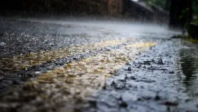 vistanews.ru, фото - Новости Zakon.kz от 29.05.2019 16:55